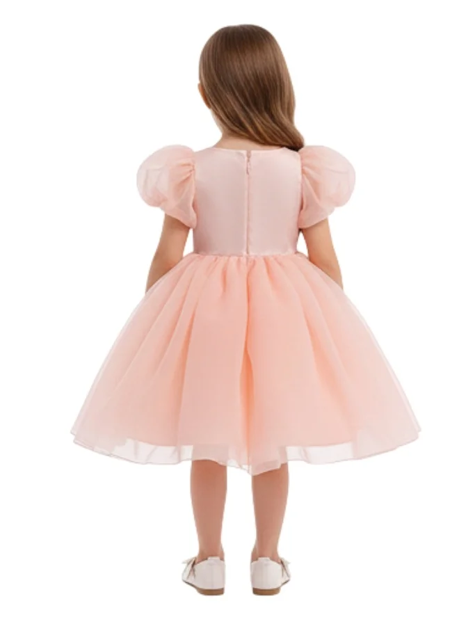 D'Daniela Organza Puff Sleeve Dress
